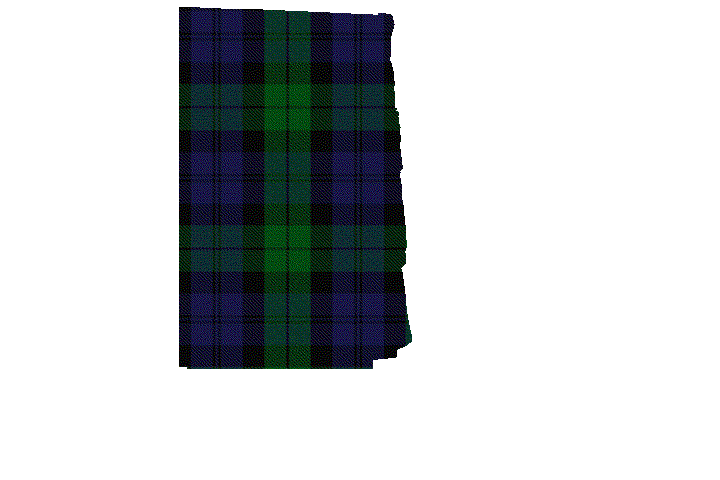 Independent Highland Companies • The Black Watch Tartan Kilt Apron