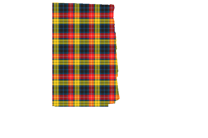 Clan Buchanan Tartan Kilt Apron