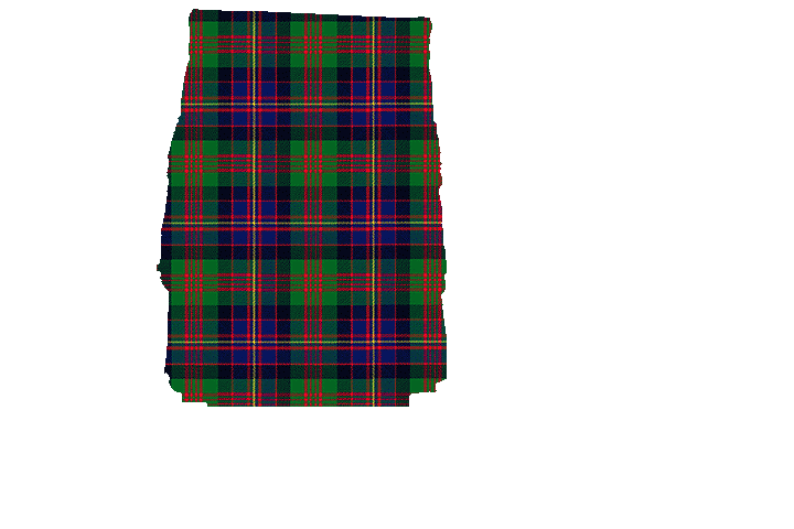 Cameron Highlanders Tartan Kilt Apron