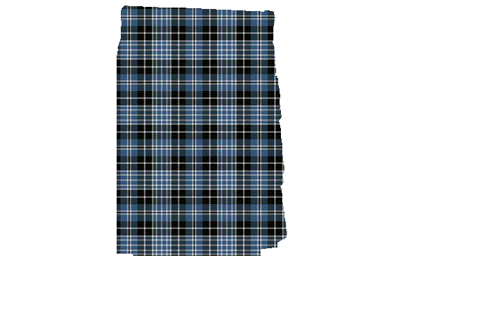 Professional Tartan Clark • Little Clerk • Clergy Tartan Kilt Apron