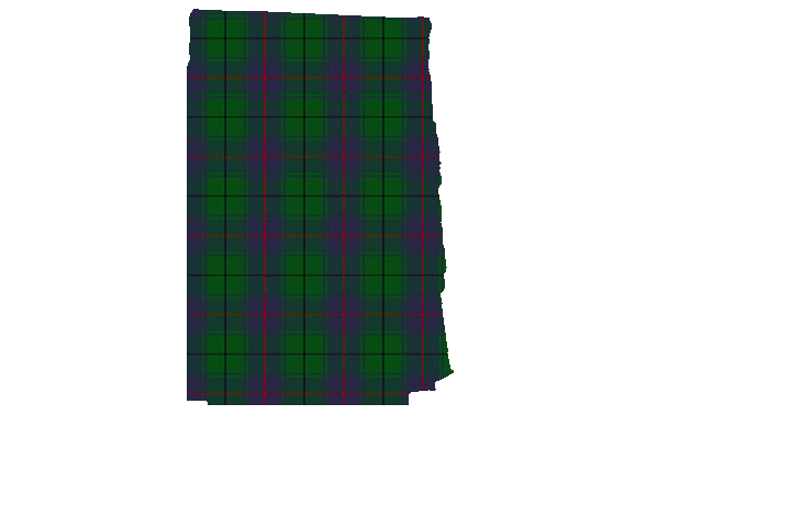 Davidson Tartan Kilt Apron