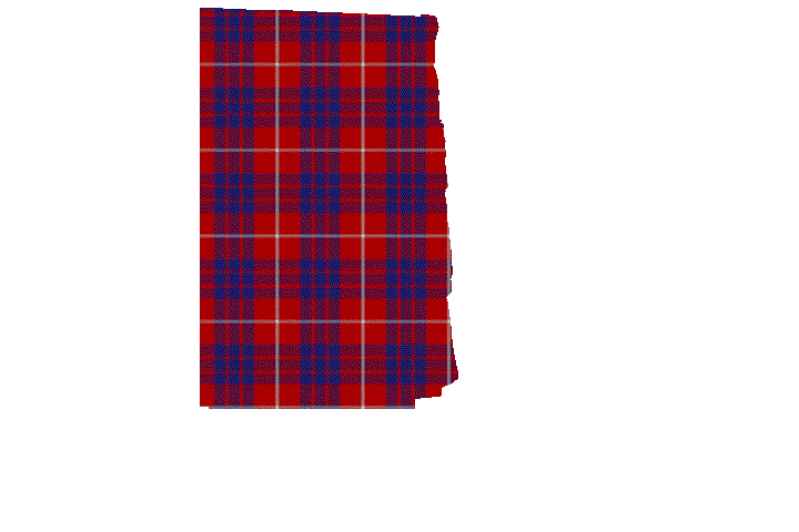 Hamilton Tartan Kilt Apron