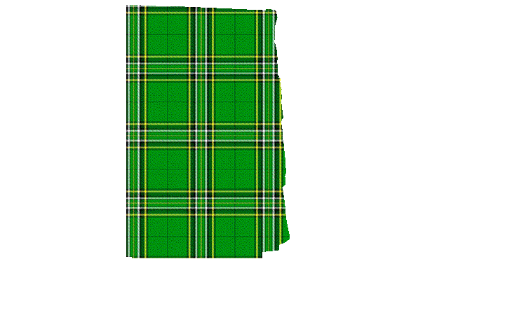 Irish National Tartan Kilt Apron