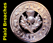 Guardian Thistle Chrome Plaid Broach Pin