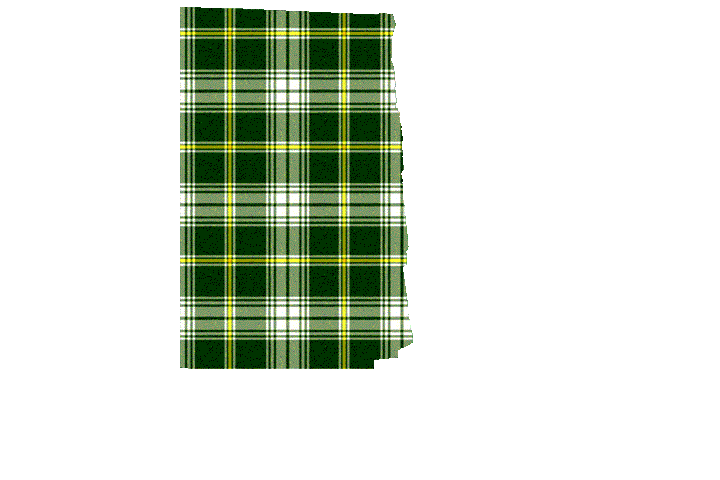 St. Patrick Tartan Kilt Apron