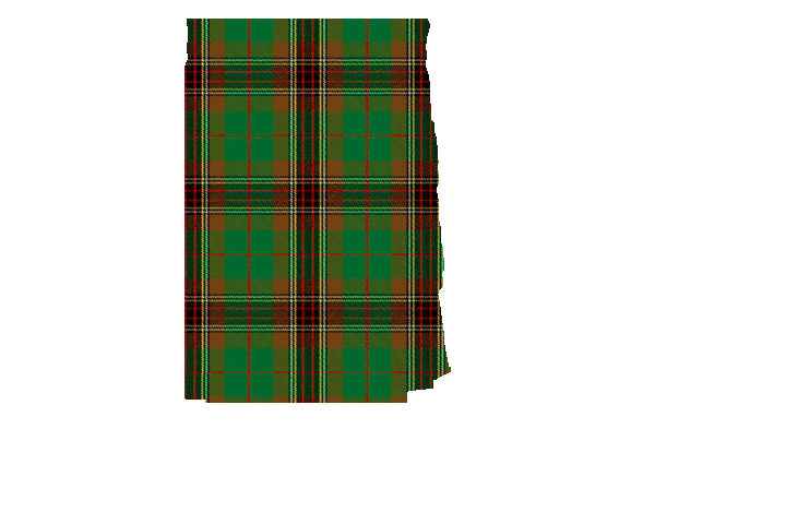 Tara District Tartan Kilt Apron