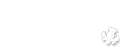 NO SCOTLAND, NO PARTY
